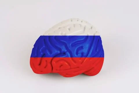 On a white background, a model of the brain with a picture of a flag - Russia Foto stock