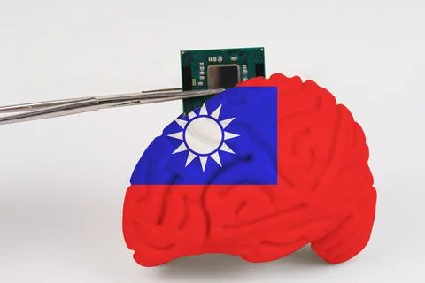 On a white background, a model of the brain with a picture of a flag - Taiwan Foto stock