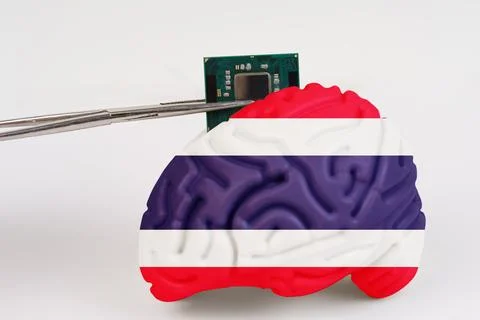 On a white background, a model of the brain with a picture of a flag - Thai.. Foto stock