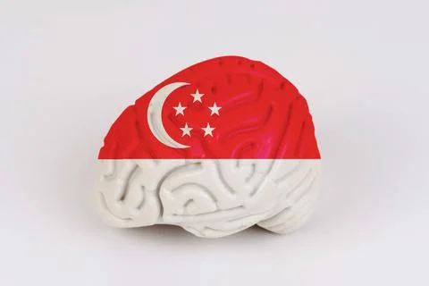 On a white background, a model of the brain with a picture of a flag - Sing.. Foto stock