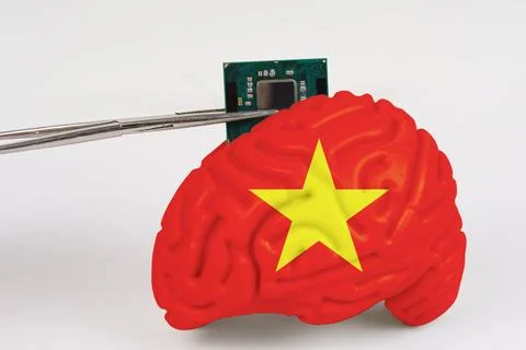 On a white background, a model of the brain with a picture of a flag - Viet.. Foto stock