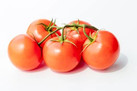On a white background. No isolation. Red tomato on a green branch. There is a Stock Photos