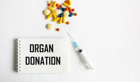 On a white background, a notepad with the text - organ donation Stock Photos