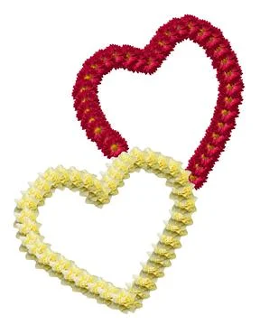 White background with a pattern of two connected hearts. Two flower hearts of Foto stock