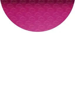 White Background with Patterned Floral Borders White background with elega... Foto stock