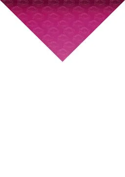 White Background with Patterned Floral Borders White background with elega... Stock Photos
