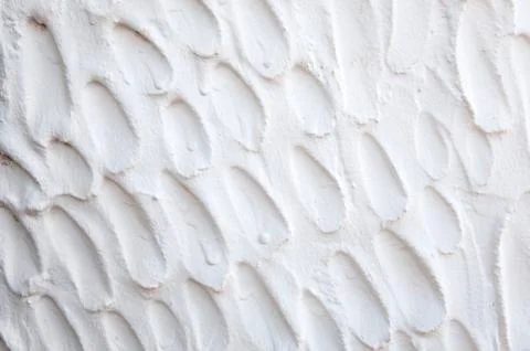 White background Fotos de archivo