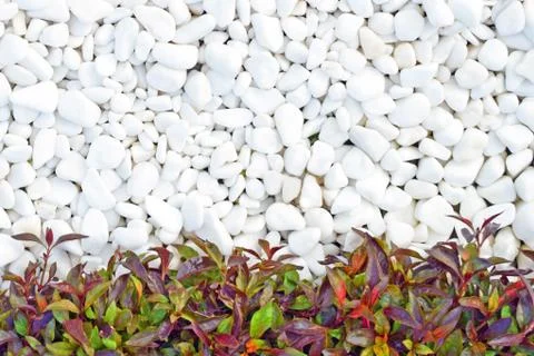 White background Stock-Fotos