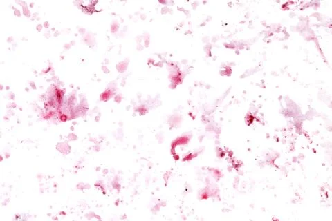 A white background with red splatters of paint Stock Photos