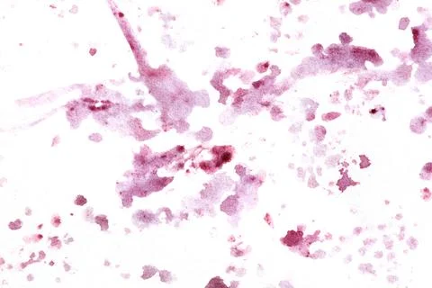 A white background with red splatters of paint Stock Photos