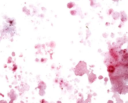 A white background with red splatters of paint Stock Photos