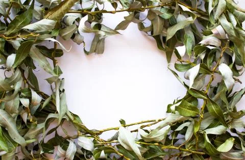 White background with a round frame of dry leaves Stock Photos