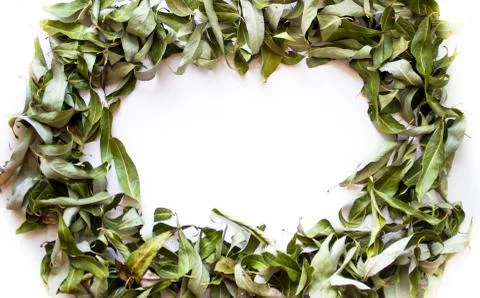 White background with a round frame of dry leaves. Stock Photos