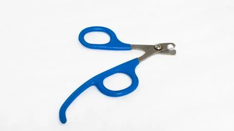 On a white background, scissors for cutting the claws of a pet lie isolated Stock Photos