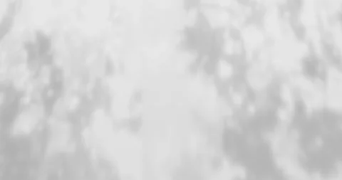 White background with shadows animation, Empty wall in room Stock Footage 296697400