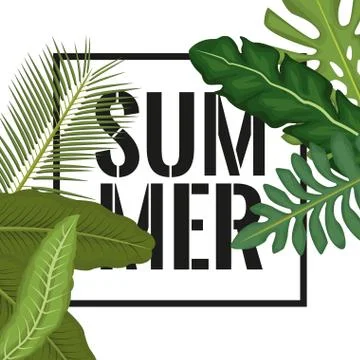 White background with side border decorative green leaves and rectangular frame Stock Illustration