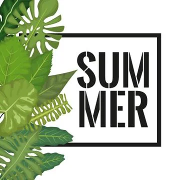 White background with side left border decorative green leaves and rectangular Stock Illustration