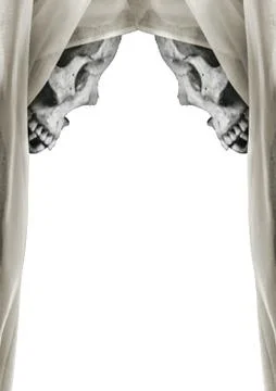 White Background with Skulls Borders Decoration Stock Illustration