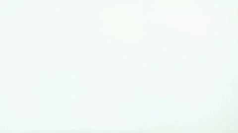 White background with small dog in black hoodie. Video footage. Happy smilimg Vídeo Stock 91685002