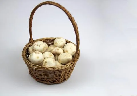 On a white background, there are collected mushrooms in a basket Stock Photos