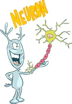 White background vector illustration of a Neuron Stock Illustration