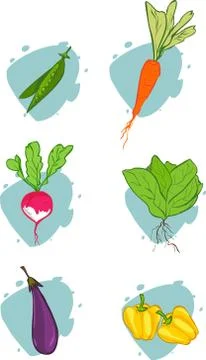 White background vector illustration of a vegetables Illustrazione stock