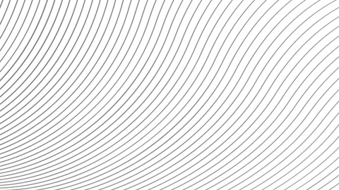 White background with wavy lines animation Stock Footage 313649039