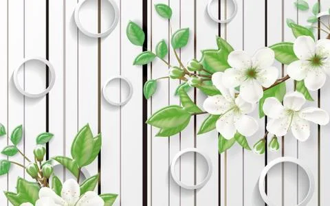 White background, white rings, large branches of a blossoming apple tree Stock Illustration