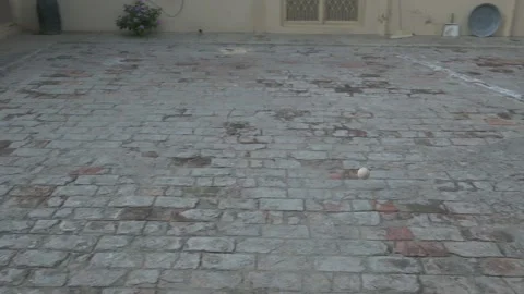 A white ball hitting the wall and coming back in slow motion Classic view Stock Footage 157277686