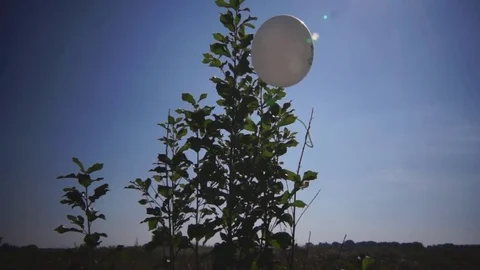 White ball on the meadow 스톡 동영상 79632697