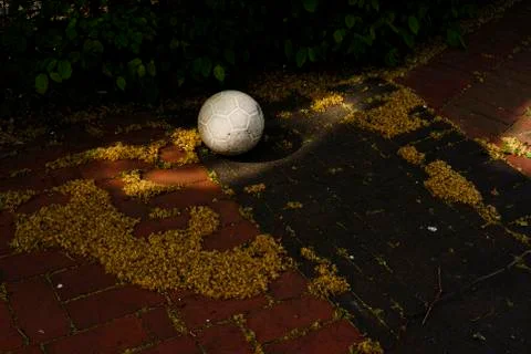 The White Ball Foto stock