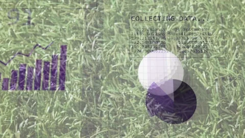 White ball resting on grass, HUD appearing as sports tech collecting data, pie Stock Footage 333193264
