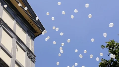 White balloon flying Stock Footage 102050176