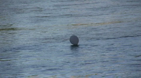 White balloon in a river 2  Stock Footage 233512