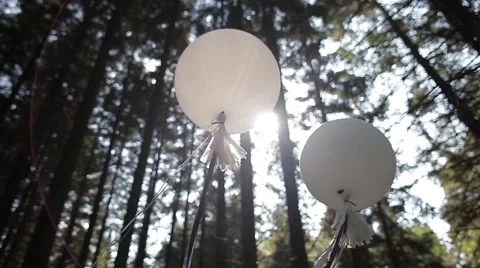 White balloons in the forest with sunlight Stock-Footage 68904627
