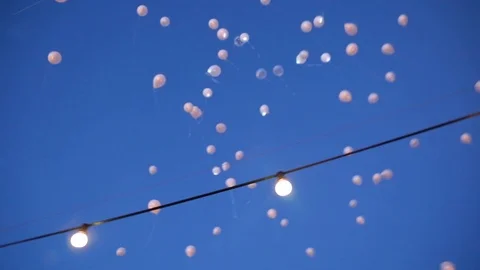White balloons with lights heading towards the sky at sunset Stock Footage 102230601
