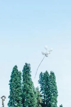 White balloons in the sky Stock Photos