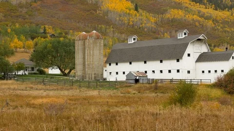 White barn located on public open-space land with fall colors in Park City, UT. Stock Footage 99520789