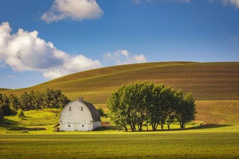 White Barn Stock Photos