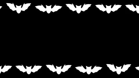 White bats decorative frame on plain black background Stock Footage 267548766