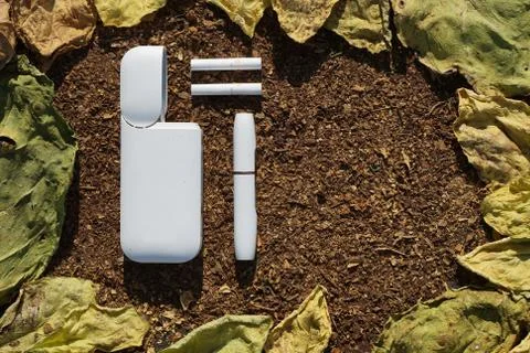 White battery  with  individual stick e-cigarette and cigarette for it  lies  Foto stock