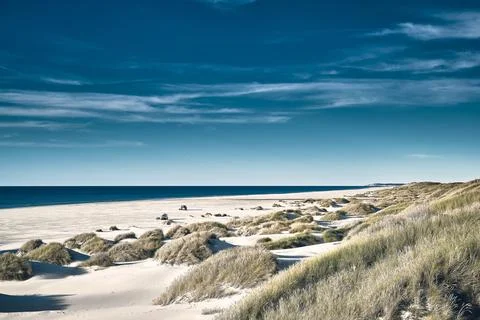 White beach in Denmark Stock Photos
