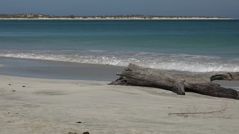 White beach with a fallen tree in south Madagascar, Africa. Stock Footage 104962101