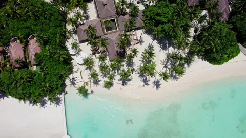 White beach with palm trees in the Maldives Stock Footage 282345230
