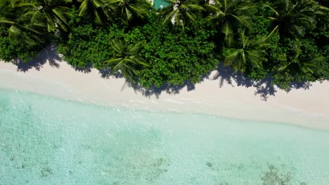 White beach with palm trees in the Maldives Stock Footage 282345688
