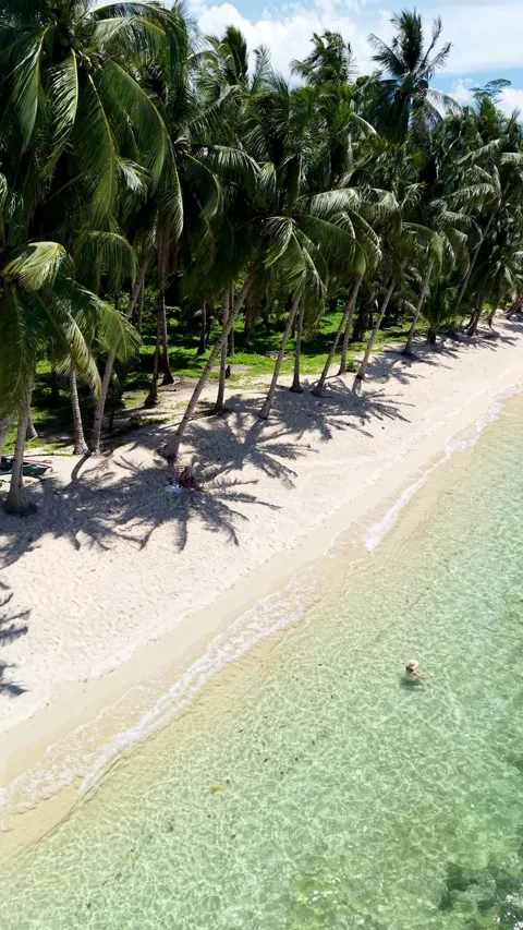 White Beach - Philippines Stock Footage 345011710