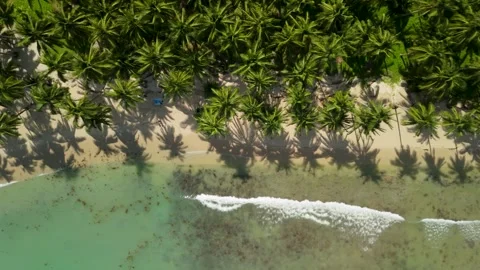 White Beach Port Barton Top Down Palm Shadows on White Sand Palawan Stock Footage 337390573