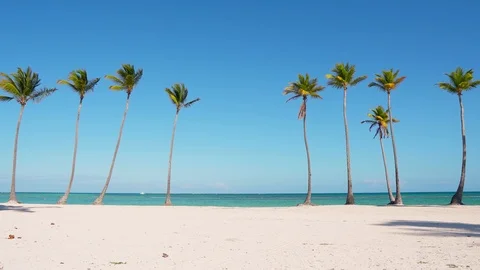 White beach sand palm trees isolated and sky background Stock-Footage 104989008