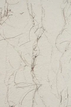 White beach sand texture with pine leave Stock Photos