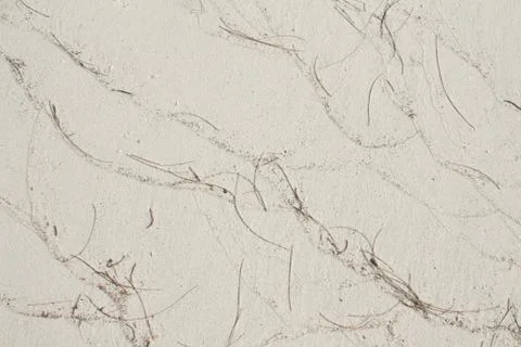 White beach sand texture with pine leave Stock Photos